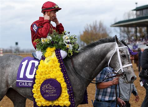 keeneland sales results|Keeneland November Gets Underway.